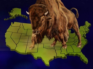 When a Lamb Becomes a Dragon: The United States of America in Bible Prophecy