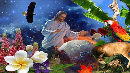 The Beginning of the Creation of God
