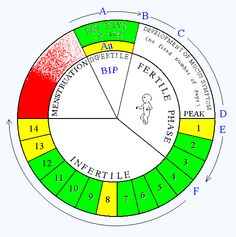 Natural Family Planning