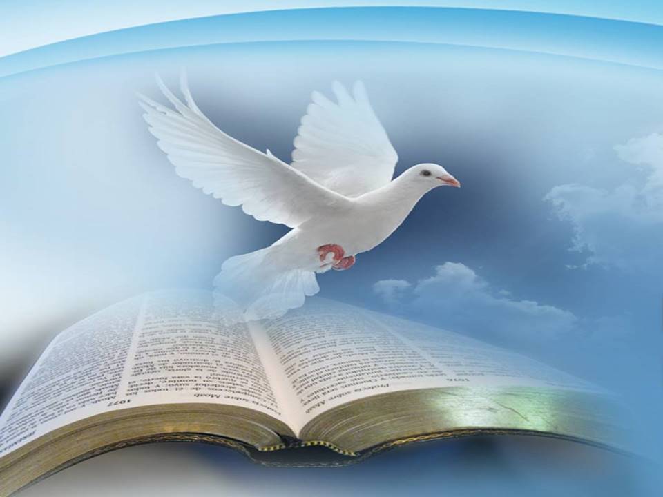 The Scripture's Claim to Divine Inspiration