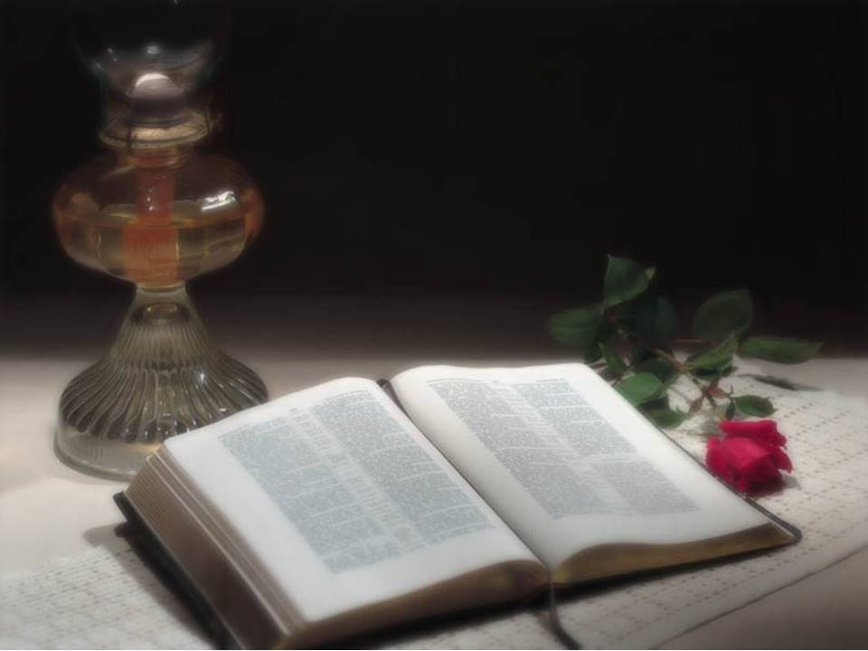 Characteristics and Organisation of the Scriptures