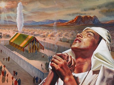 The Feast Days and the Sabbath